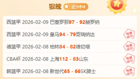 约基奇34分13板8助力压詹姆斯，詹皇18分6板7助豪取大胜